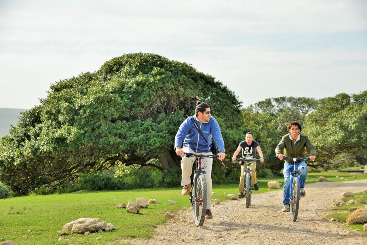 De Hoop Collection - Equipped Cottages De Hoop Nature Reserve Ngoại thất bức ảnh
