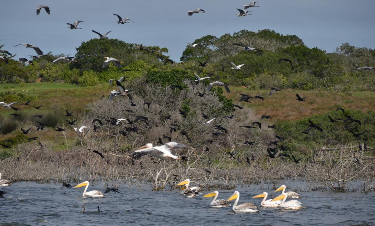 De Hoop Collection - Equipped Cottages De Hoop Nature Reserve Ngoại thất bức ảnh